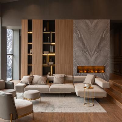 Modern Luxury Cozy Living Room